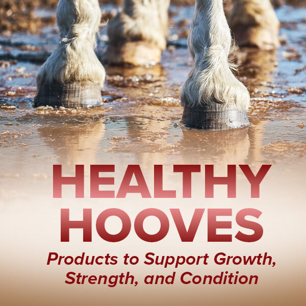 Healthy Hooves: Products to Support Growth, Strength, and Condition
